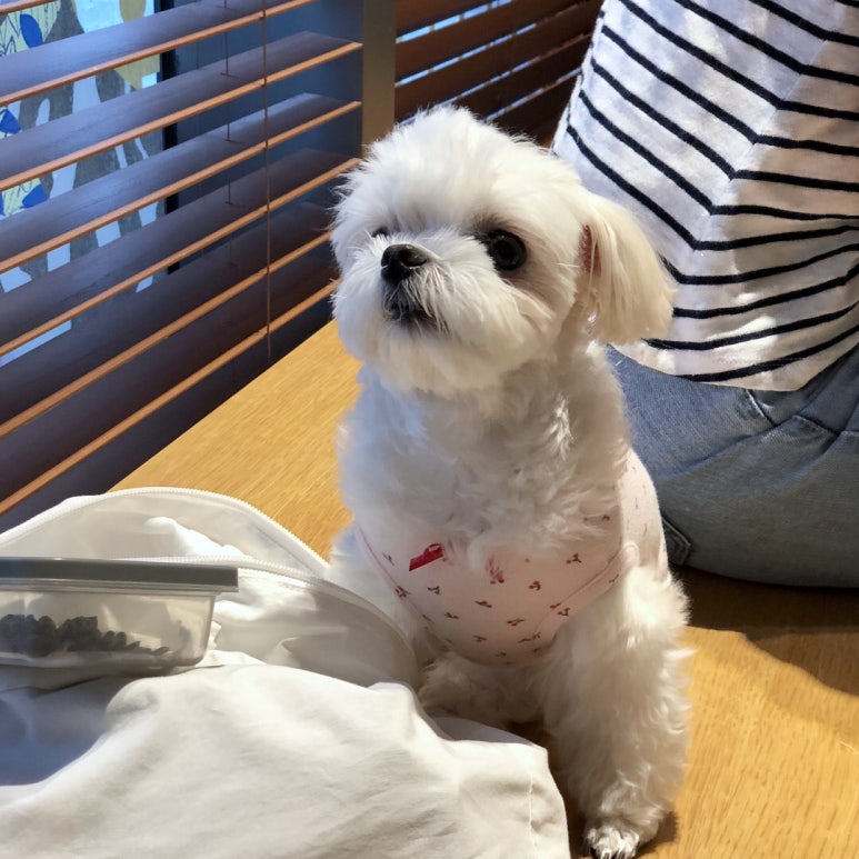 단비아크릴 이미지