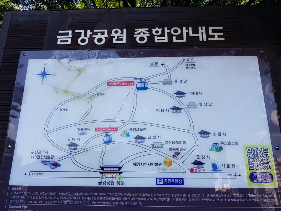 금정카 이미지