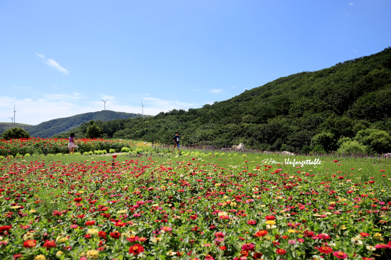 하남목장(주) 이미지