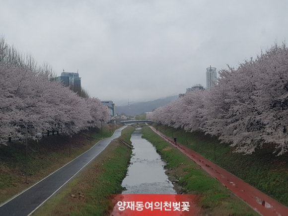 천하일품추어탕 이미지