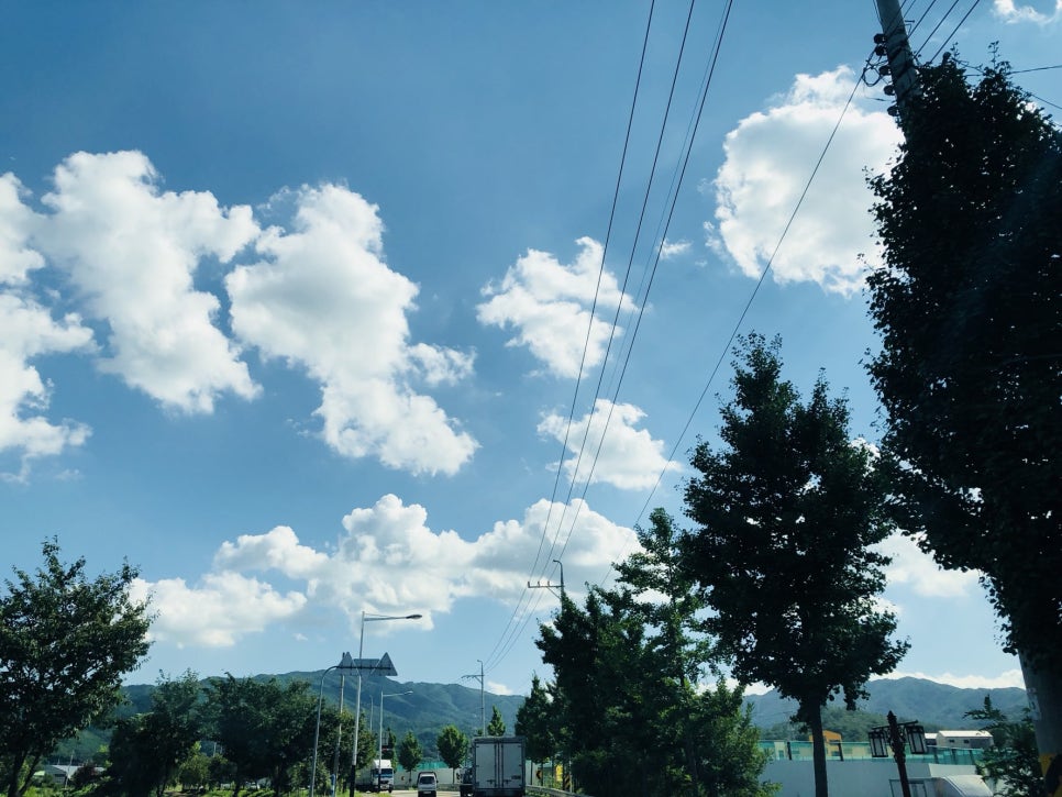 정우유통 이미지