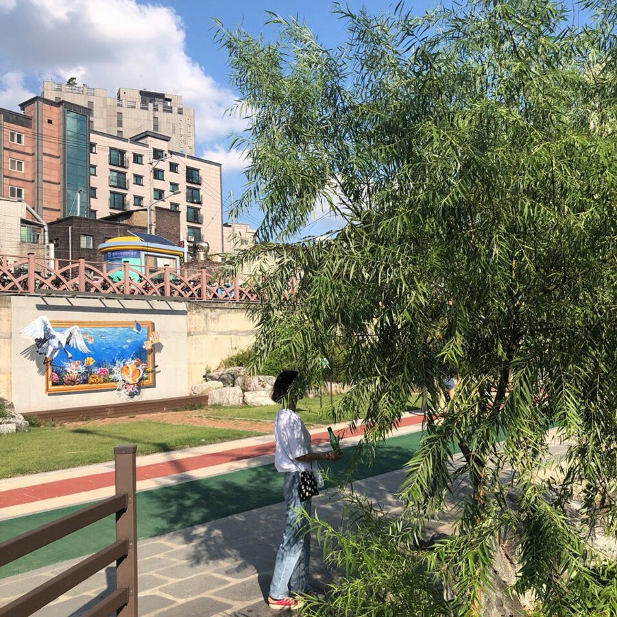 주경야술 이미지