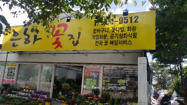 은하꽃집 이미지