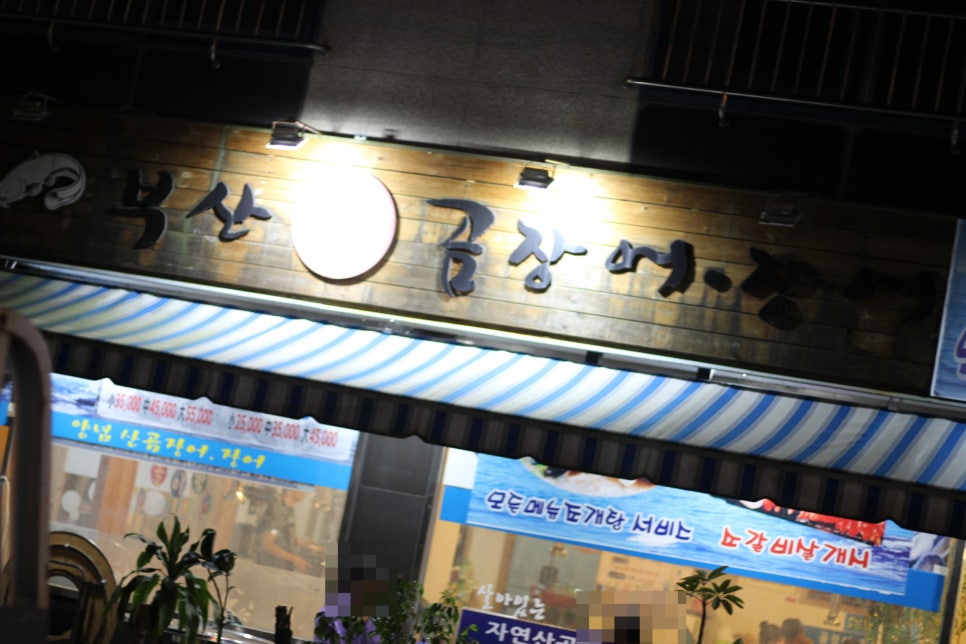 경북산곰장어 이미지