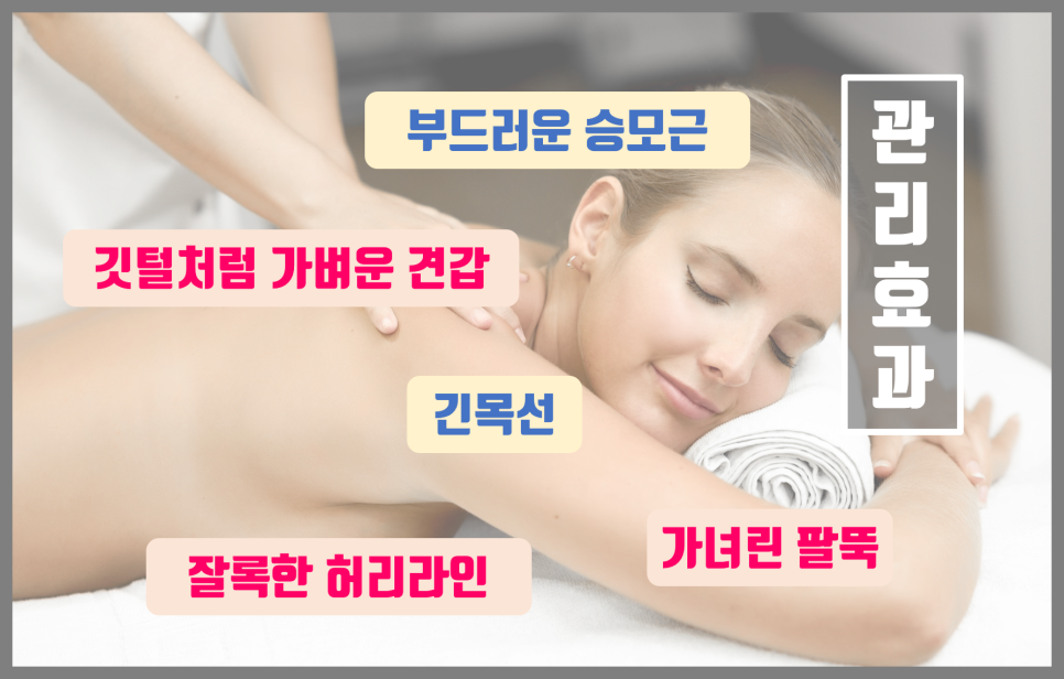 천사날개 이미지