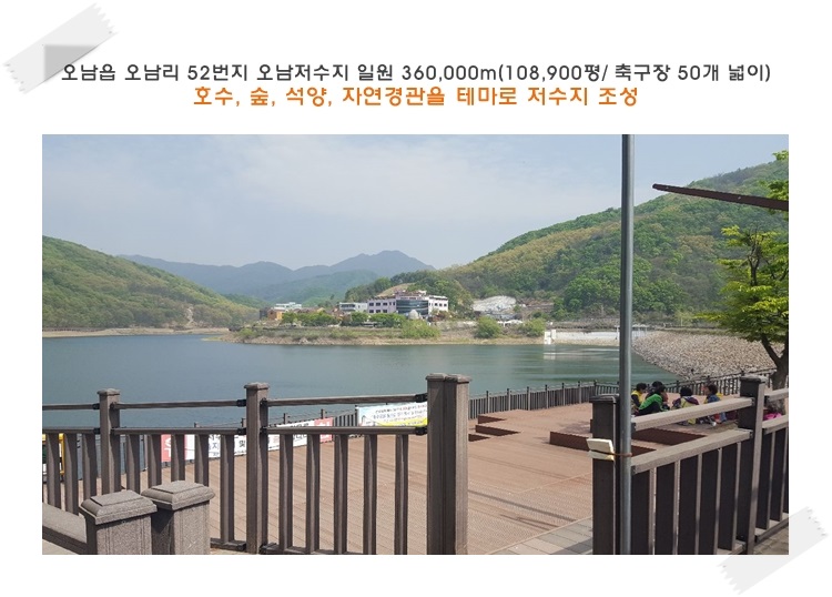 스타할인마트 이미지