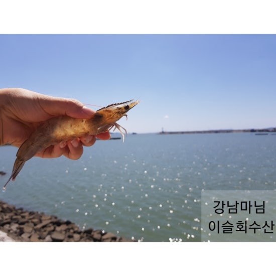 수산마켓 이미지