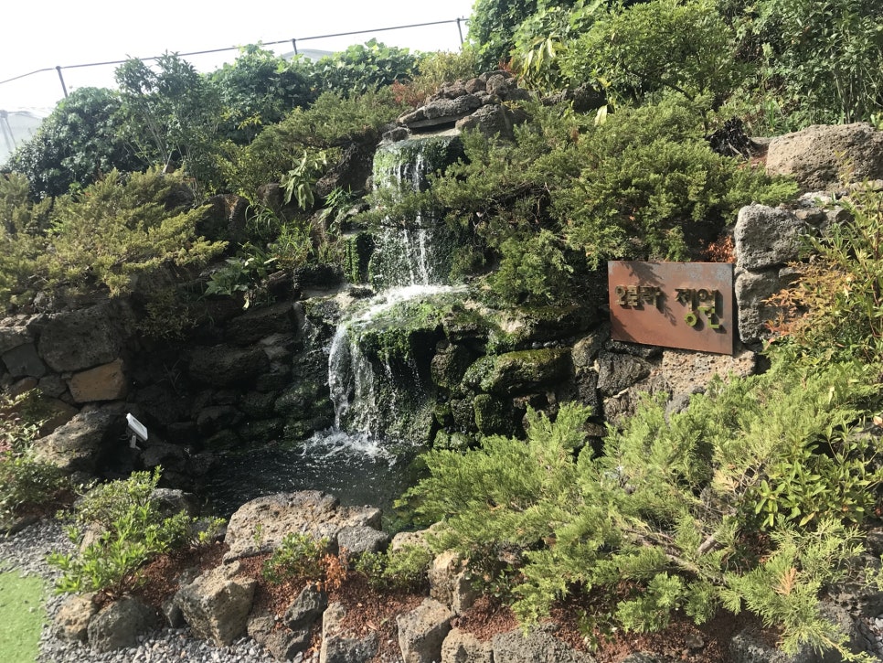 오로라정원 이미지