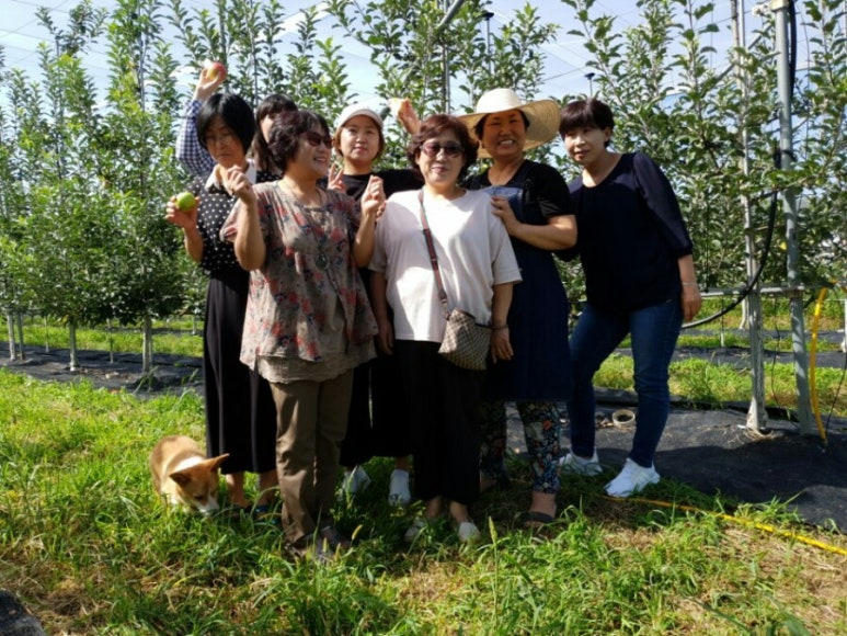 사과꽃피는집 이미지