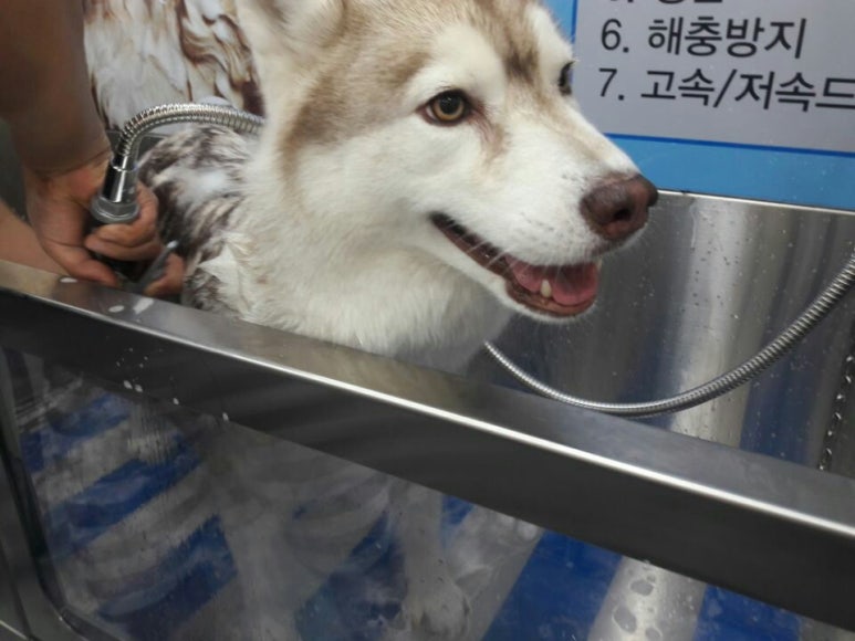 마리프 이미지