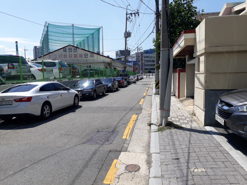 태화장보쌈 이미지