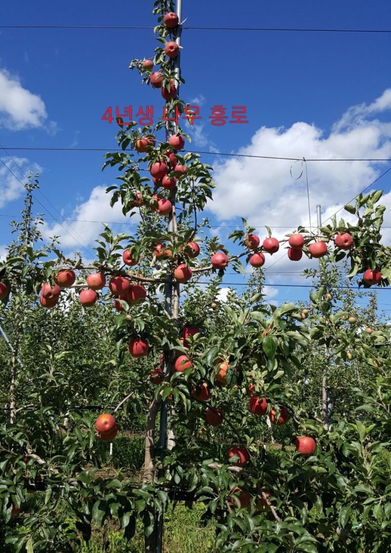 은혜농원 이미지