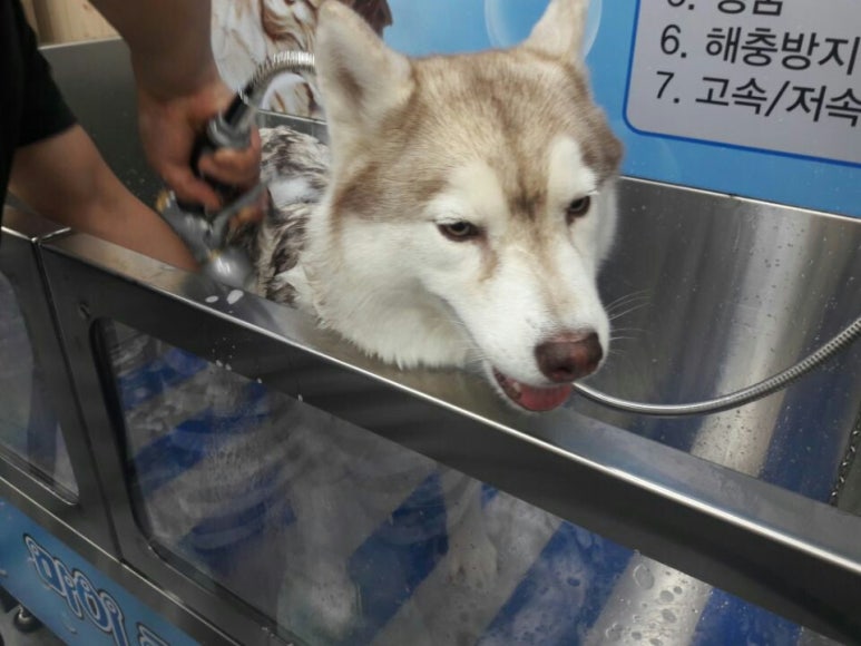 마리프 이미지