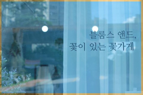 블룸스앤드 이미지