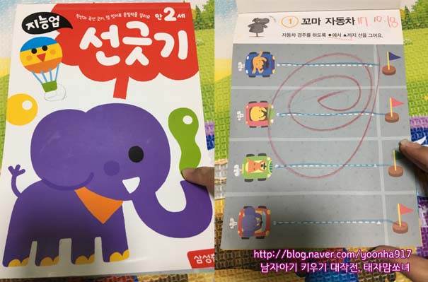 태자손 이미지