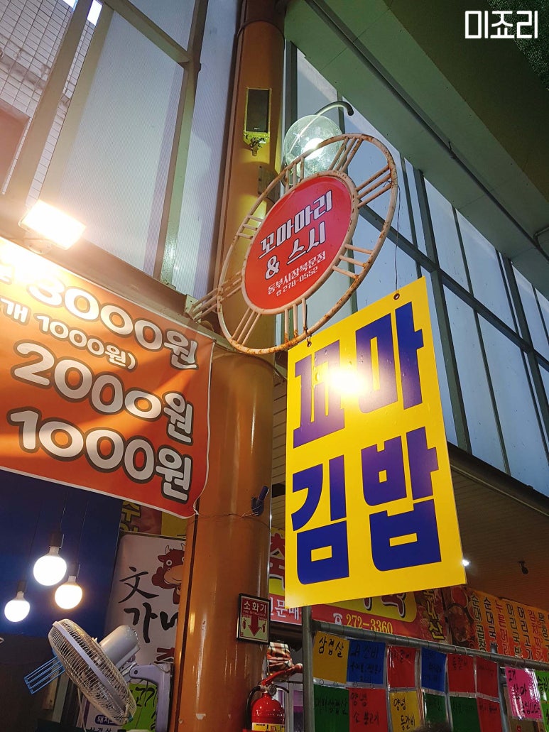 꼬마마리스시 이미지