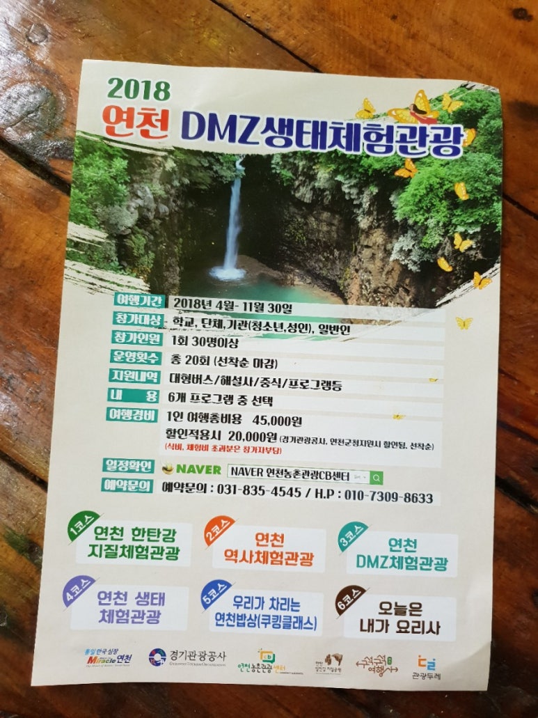모아관광여행사 이미지