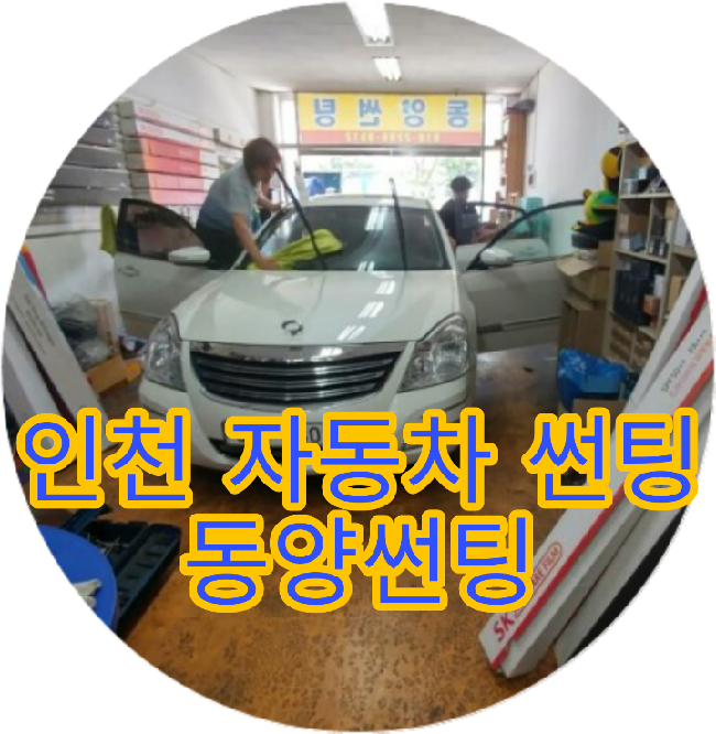 동양썬팅 이미지