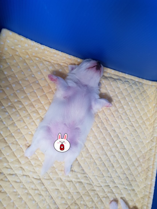 오늘도한잔 이미지