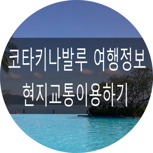 대중여행사 이미지