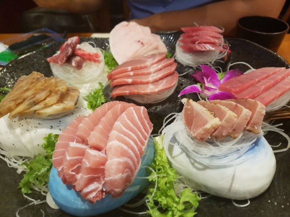 참치나라 이미지