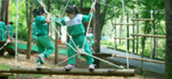 솔잎체험장 이미지