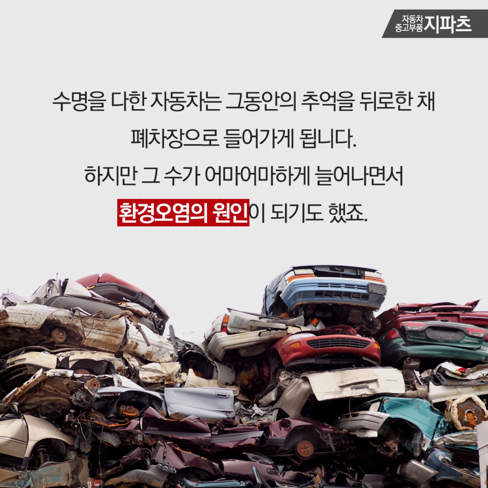 자동차프라자 이미지