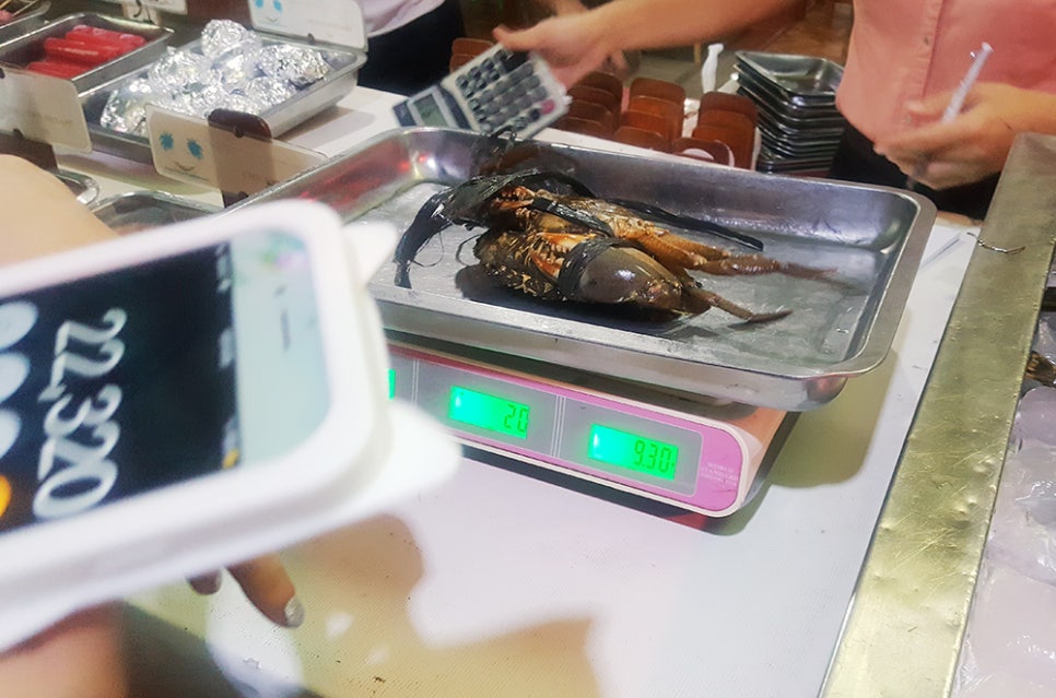 히든타이거 이미지