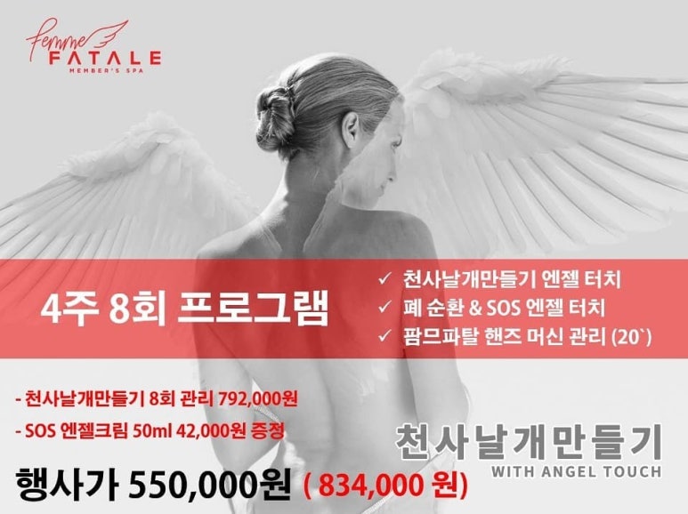 천사날개 이미지