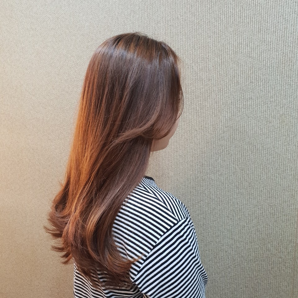 헤어,오늘 이미지