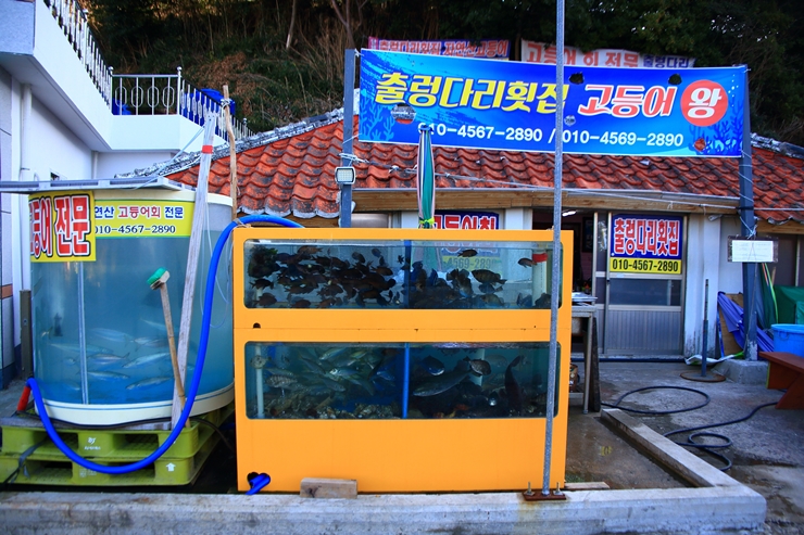추봉도횟집 이미지