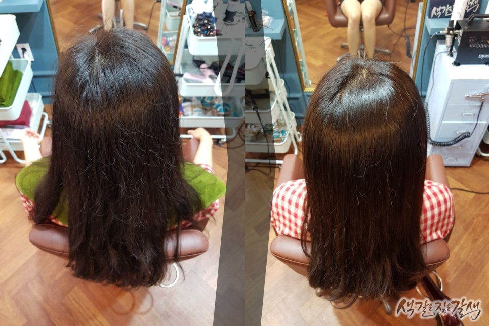 색갈은짙은갈색 이미지