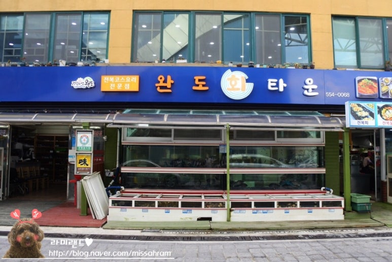 완도회타운 이미지