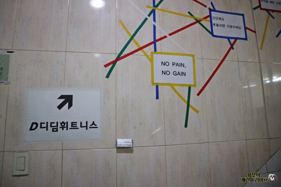 디딤빌 이미지