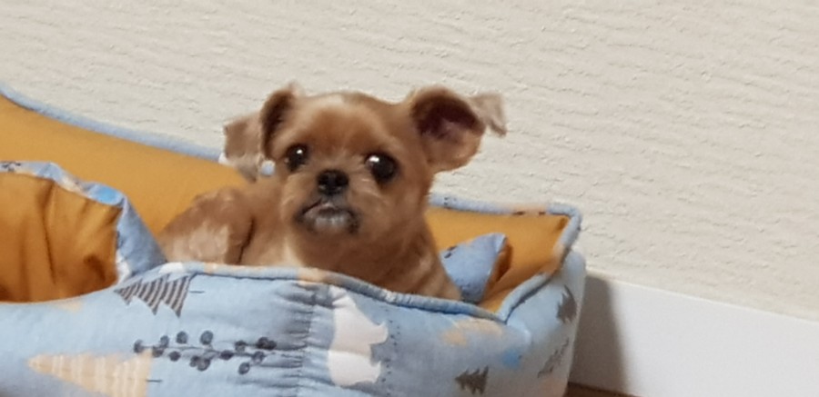 종로얼큰이 이미지