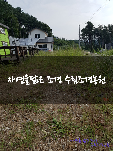 수림조경 이미지