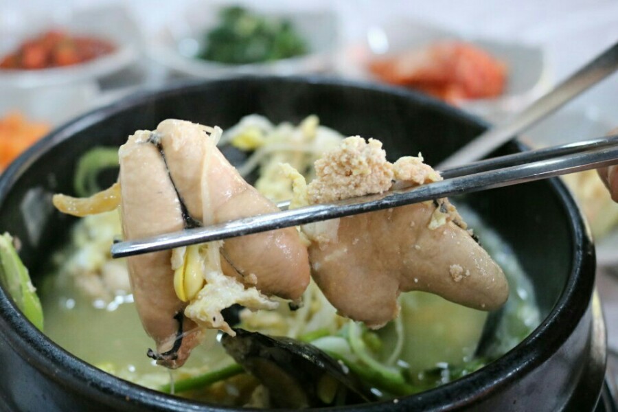 주문진황태 이미지