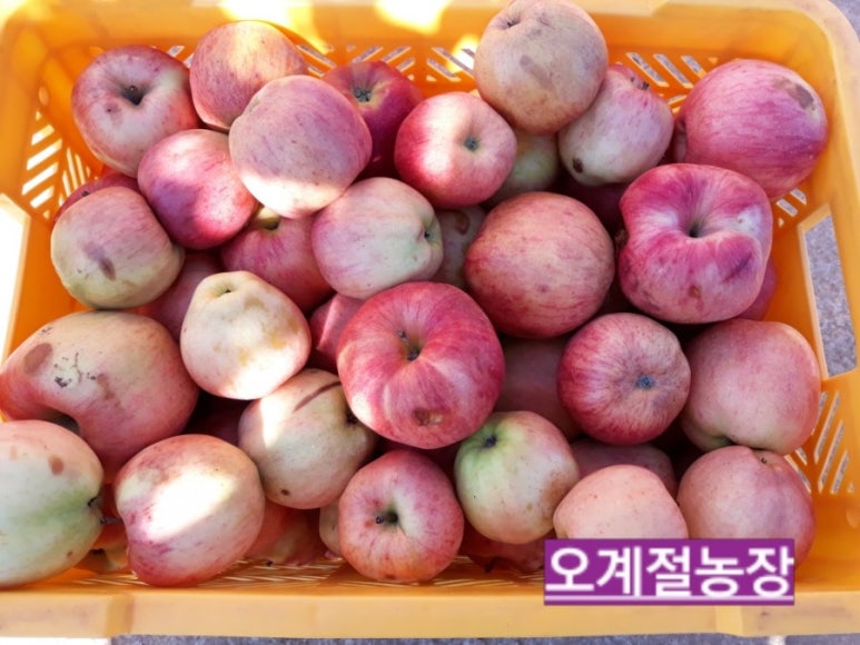 남영농원 이미지