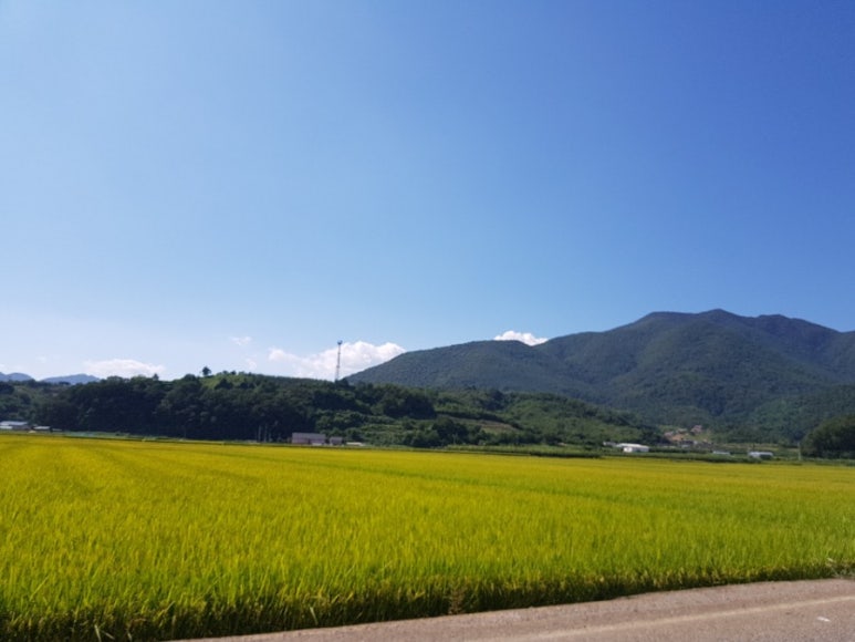 이쁜이식당 이미지