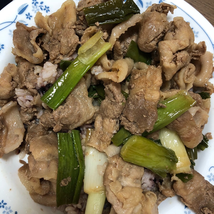 리꼬비교동점 이미지