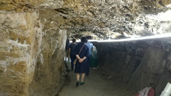 광천독바위토굴새우젓 이미지