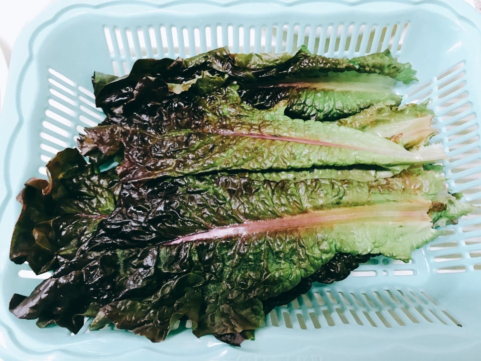 바구니칼국수 이미지