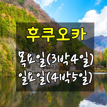 투게더항공여행사 이미지