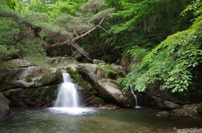 신화상사(주) 이미지