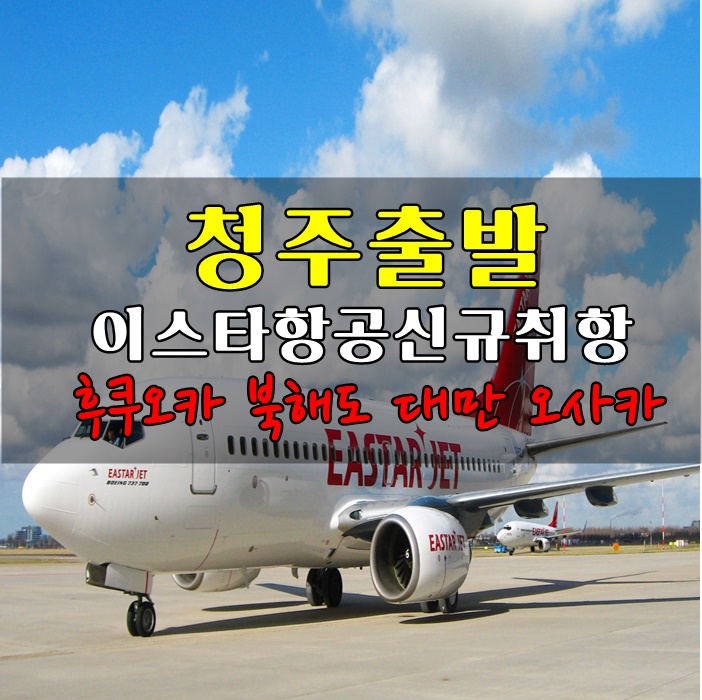 투게더항공여행사 이미지