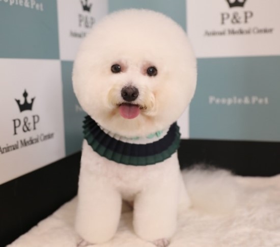 피엔피PC 이미지