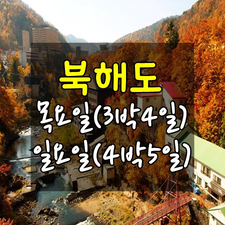 투게더항공여행사 이미지