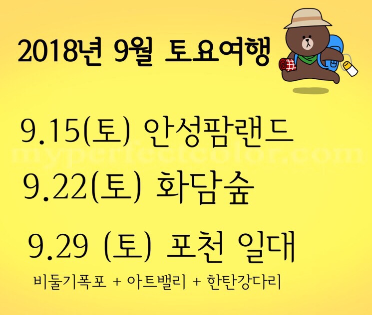 비둘기여행사 이미지