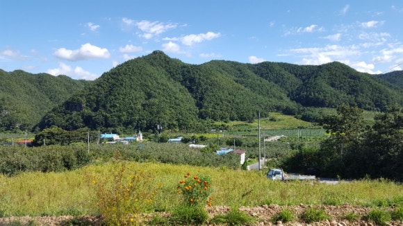 꽃담공방 이미지