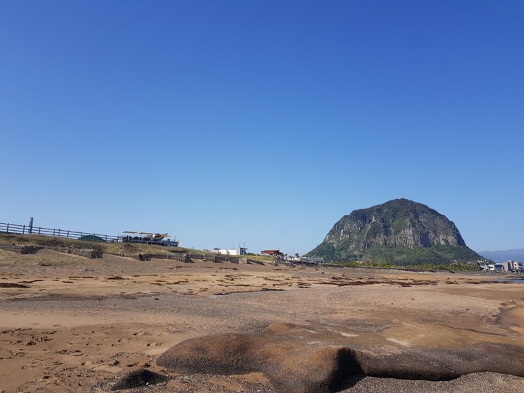 제주돈가 이미지